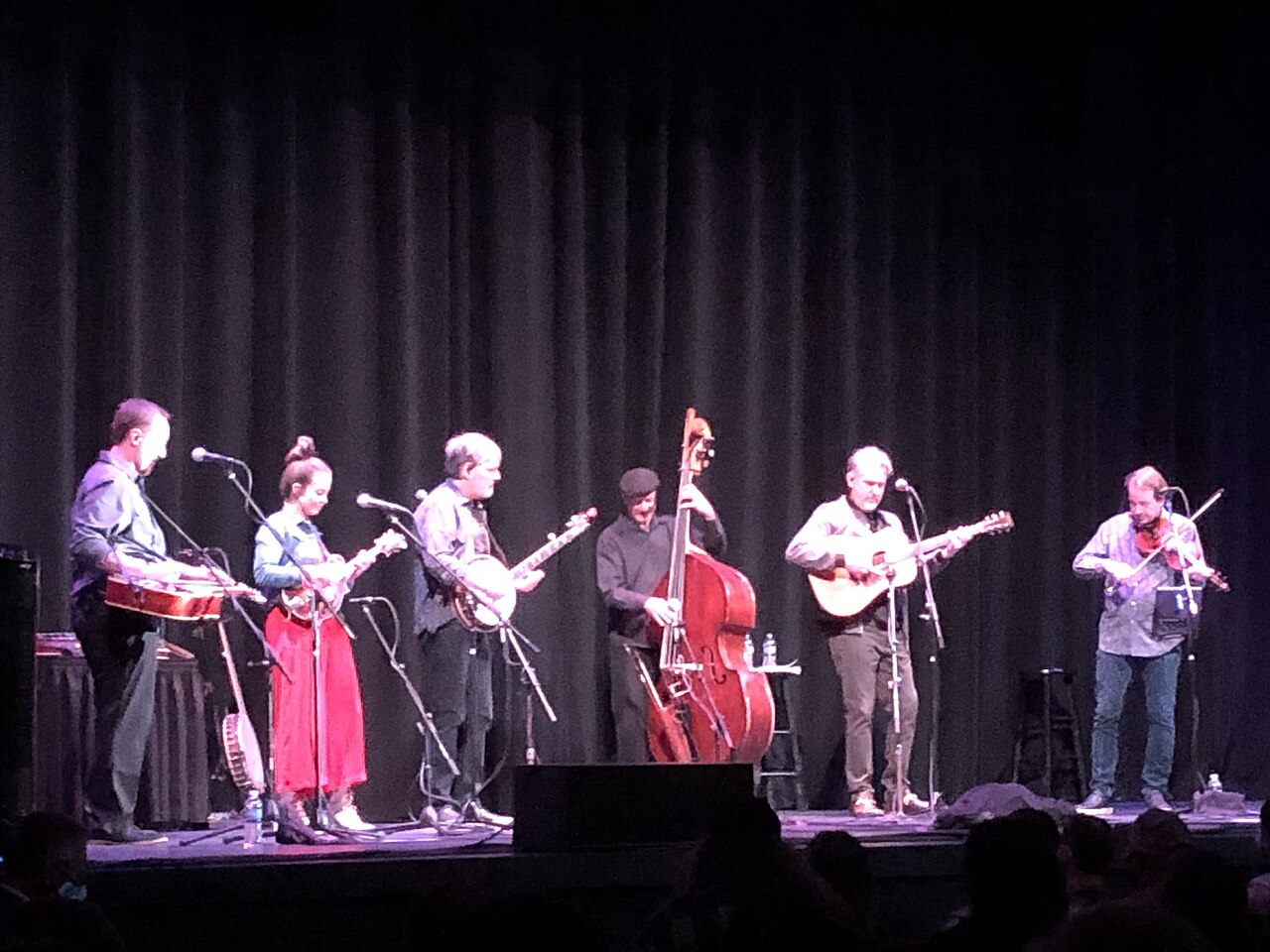 Bluegrass music